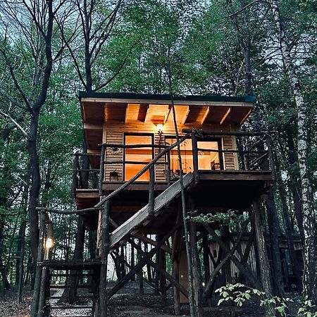 Living Forest Resort Moravske-Toplice Dış mekan fotoğraf