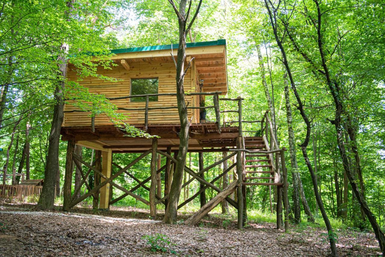Living Forest Resort Moravske-Toplice Dış mekan fotoğraf