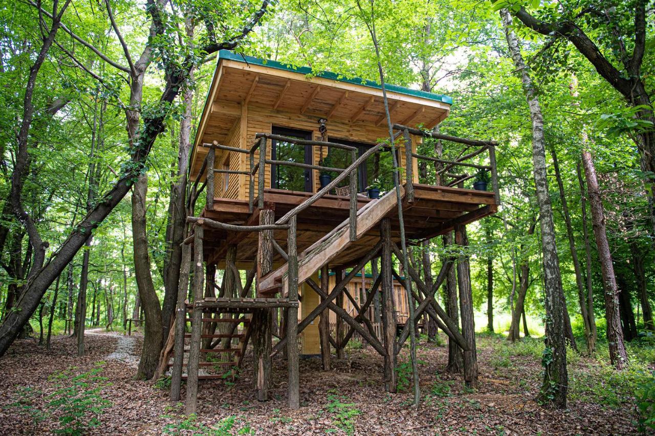 Living Forest Resort Moravske-Toplice Dış mekan fotoğraf