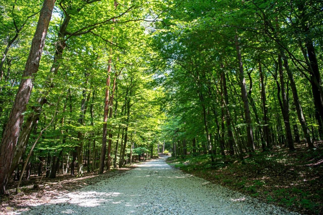 Living Forest Resort Moravske-Toplice Dış mekan fotoğraf