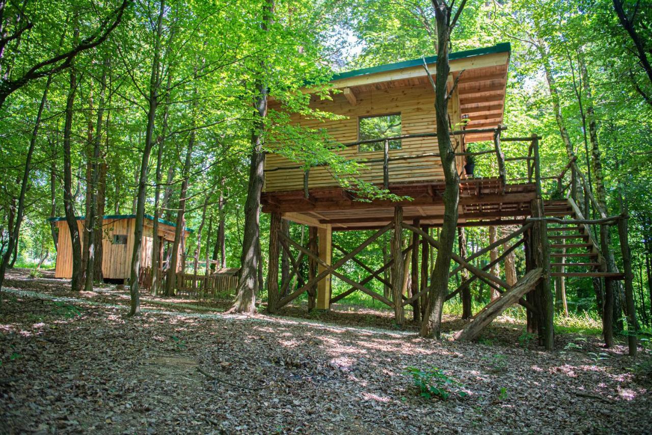 Living Forest Resort Moravske-Toplice Dış mekan fotoğraf