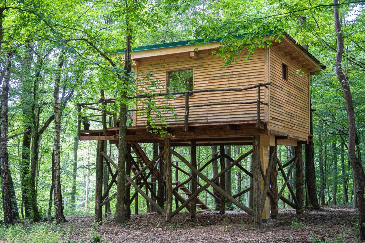 Living Forest Resort Moravske-Toplice Dış mekan fotoğraf