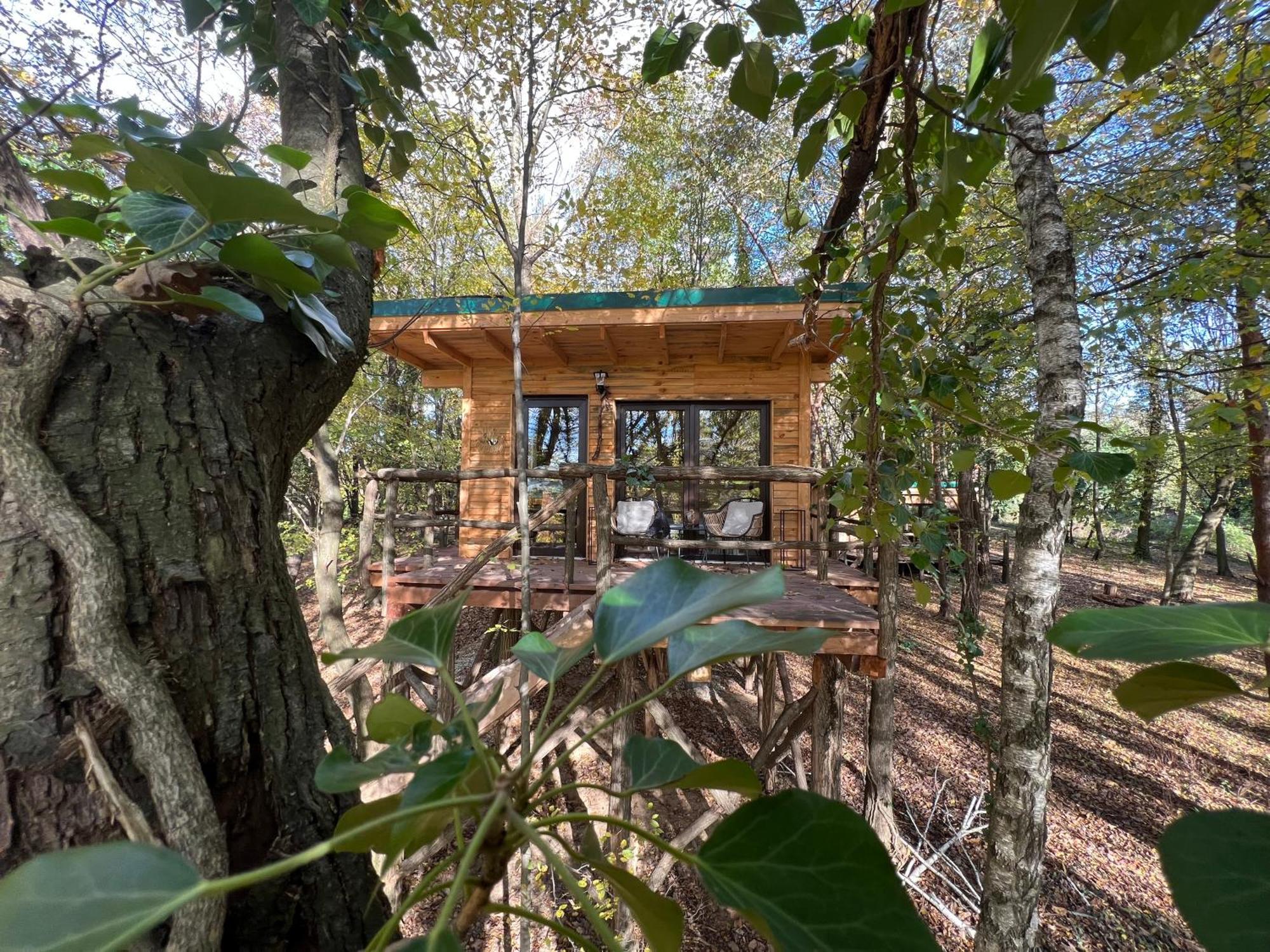 Living Forest Resort Moravske-Toplice Dış mekan fotoğraf