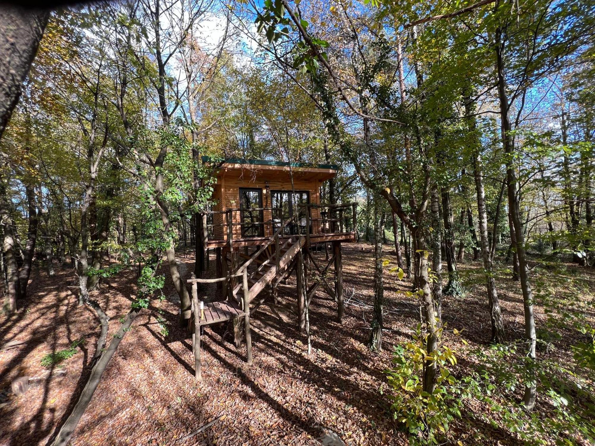 Living Forest Resort Moravske-Toplice Oda fotoğraf