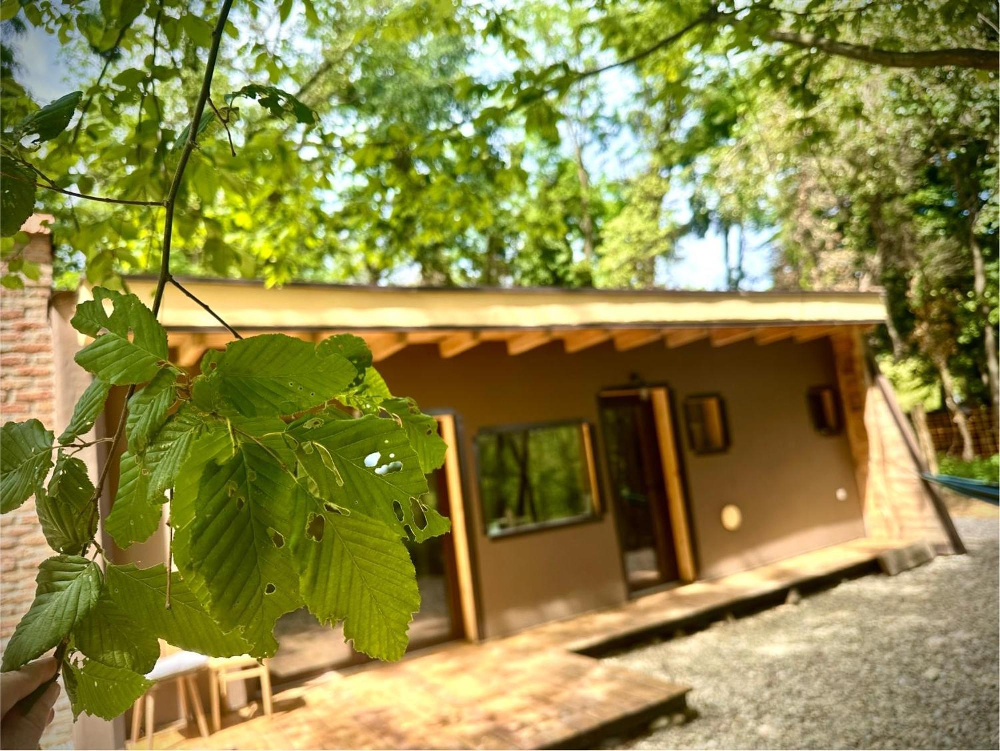 Living Forest Resort Moravske-Toplice Dış mekan fotoğraf